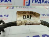 Провод силовой Ford Focus AV6T14324