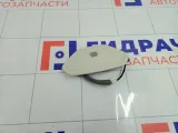 Микрофон Ford Focus AM2T19A391