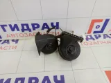 Сигнал звуковой Ford Focus 1806687