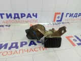 Сигнал звуковой Ford Focus 1806687