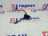 Антенна Ford Focus AM5T18828