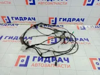 Проводка потолочная Ford Focus EM5T14335