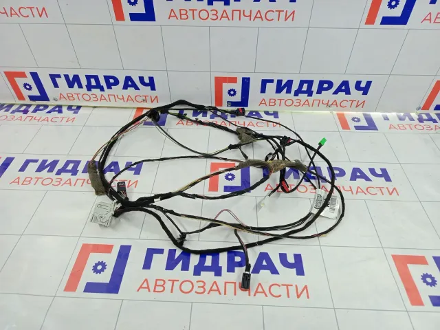 Проводка потолочная Ford Focus EM5T14335