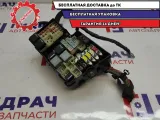 Блок предохранителей Ford Focus 2 1342985. 3M5T14A067BC.