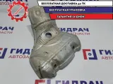 Экран тепловой Ford Focus 2 1381927.