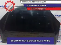 Капот Ford Focus 2 1505771. Вмятина, сколы ЛКП.