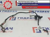 Клемма Ford Focus 2 1453501.