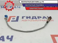 Датчик кислородный Ford Focus 2 1536254. 3M519G444BC.