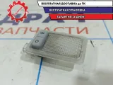 Плафон салонный Ford Focus 2 1430854.