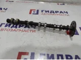 Распредвал выпускной Ford Focus 2 5147560.