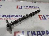 Распредвал выпускной Ford Focus 2 5147560.