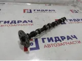 Распредвал впускной Ford Focus 2 5147548.