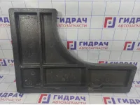 Ящик для инструментов Ford Focus 2 4M51F11169AB. Левый.