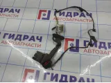 Проводка (коса) задней правой двери Ford Focus 2 3M5T14240AER.