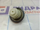 Крышка топливного бака Ford Focus 2 1589085.