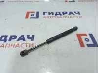 Амортизатор крышки багажника Ford Focus 2 5M51F406A10AB.