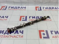 Распредвал выпускной Ford Focus 2 1888082