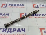 Распредвал выпускной Ford Focus 2 1888082