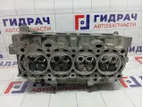 Головка блока цилиндров Ford Focus 2 1481576