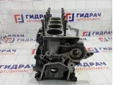 Блок двигателя Ford Focus 2 1360179