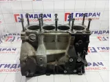 Блок двигателя Ford Focus 2 1360179