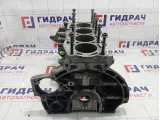Блок двигателя Ford Focus 2 1360179