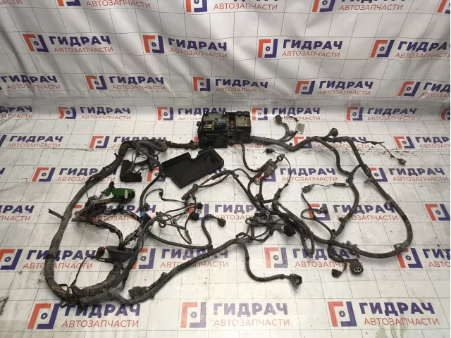 Проводка подкапотная Ford Focus 2 1466609