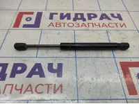 Амортизатор крышки багажника Ford Focus 2 5M51F406A10AB.