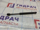 Амортизатор крышки багажника Ford Focus 2 5M51F406A10AB.