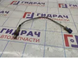 Датчик кислородный Ford Focus 2 3M519G444BC. Второй.