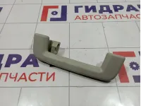 Ручка внутренняя потолочная Ford Focus 2 1386023