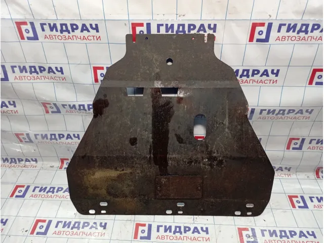 Защита двигателя Ford Focus 2