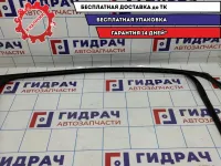 Уплотнитель стекла двери передней правой Ford Focus 2 1685043.