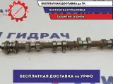 Распредвал выпускной Ford Focus 3 1888082.