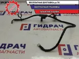 Провод массы Ford Focus 3.