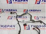 Проводка двери передней левой Ford Focus 3 1722016