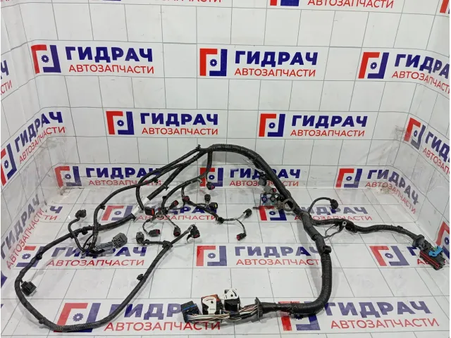 Проводка моторная Ford Focus 3 1754782