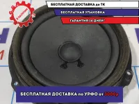 Динамик Ford Focus 3 1702795. В переднюю дверь.
