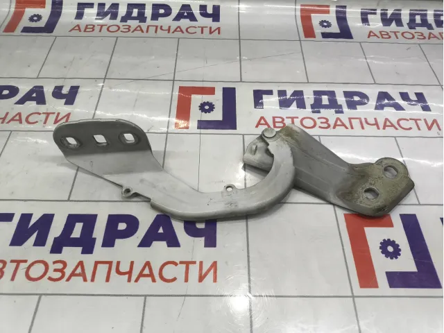 Петля капота правая Ford Focus 3 1750016