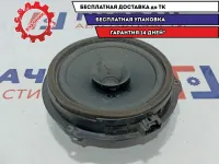 Динамик Ford Focus 3 . Динамик Ford Focus 3 .