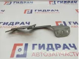 Петля капота левая Ford Focus 3 1750018.