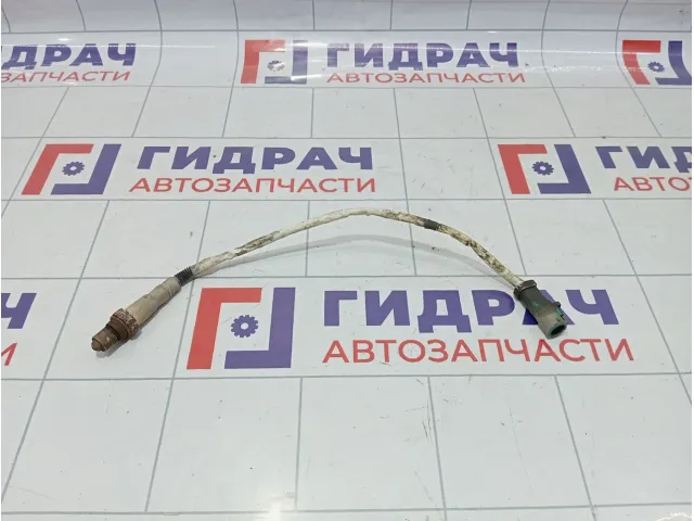 Датчик кислородный верхний Ford Focus 3 1346366
