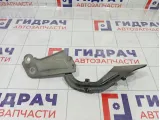 Петля капота правая Ford Focus 3 1750016