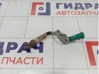 Датчик кислородный Ford Focus 3 1351337