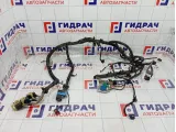 Проводка двигателя Ford Focus 3 BV6T12A690BDA