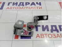 Петли двери задней левой Ford Focus 3