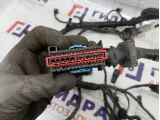 Проводка двигателя Ford Focus 3 1722535