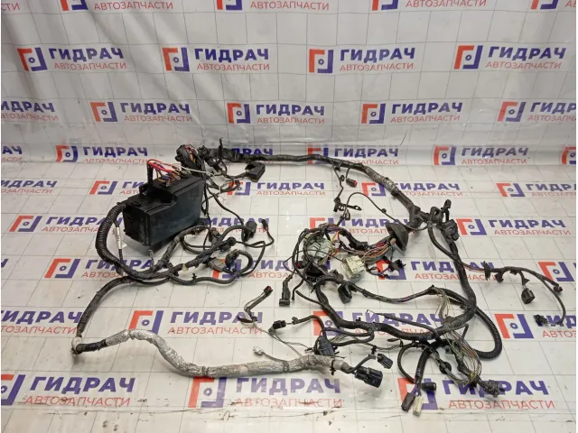 Проводка подкапотная Ford Focus 3 BV6T14K733AAC