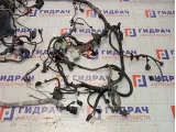 Проводка подкапотная Ford Focus 3 BV6T14K733AAC