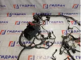 Проводка подкапотная Ford Focus 3 BV6T14K733AAC